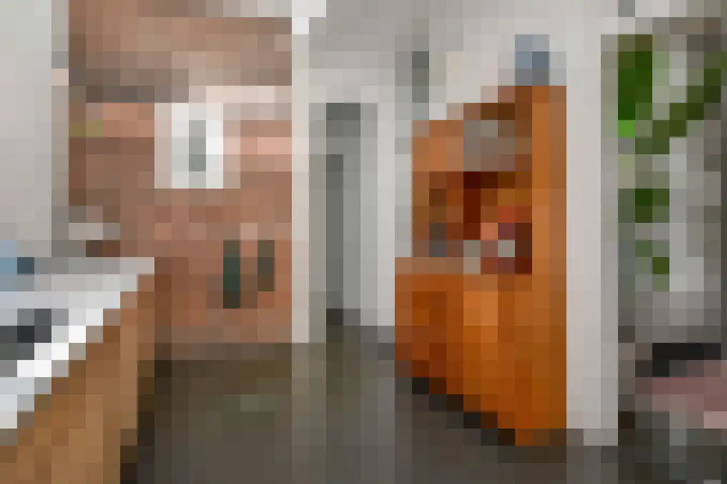 Copernicusstraat 96 Den Haag thumbnail 20
