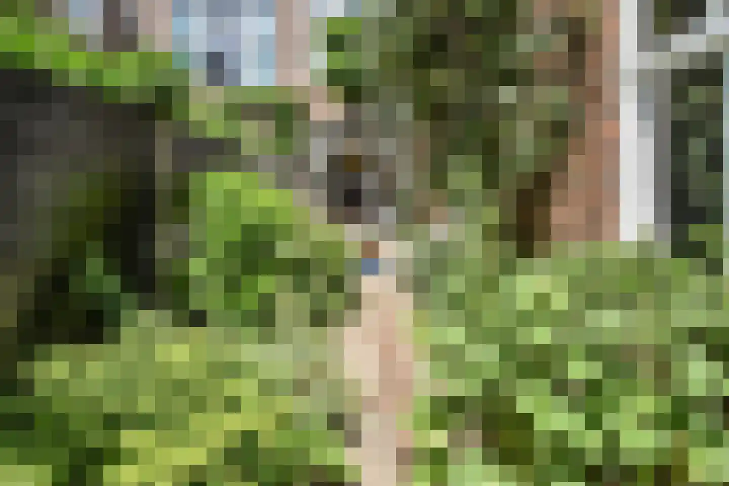 Copernicusstraat 96 Den Haag thumbnail 4