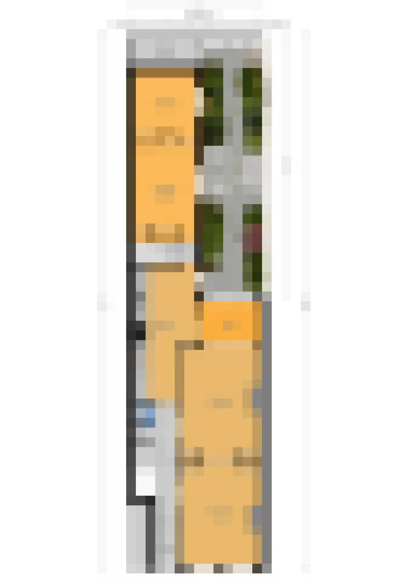 Copernicusstraat 96 Den Haag thumbnail 46
