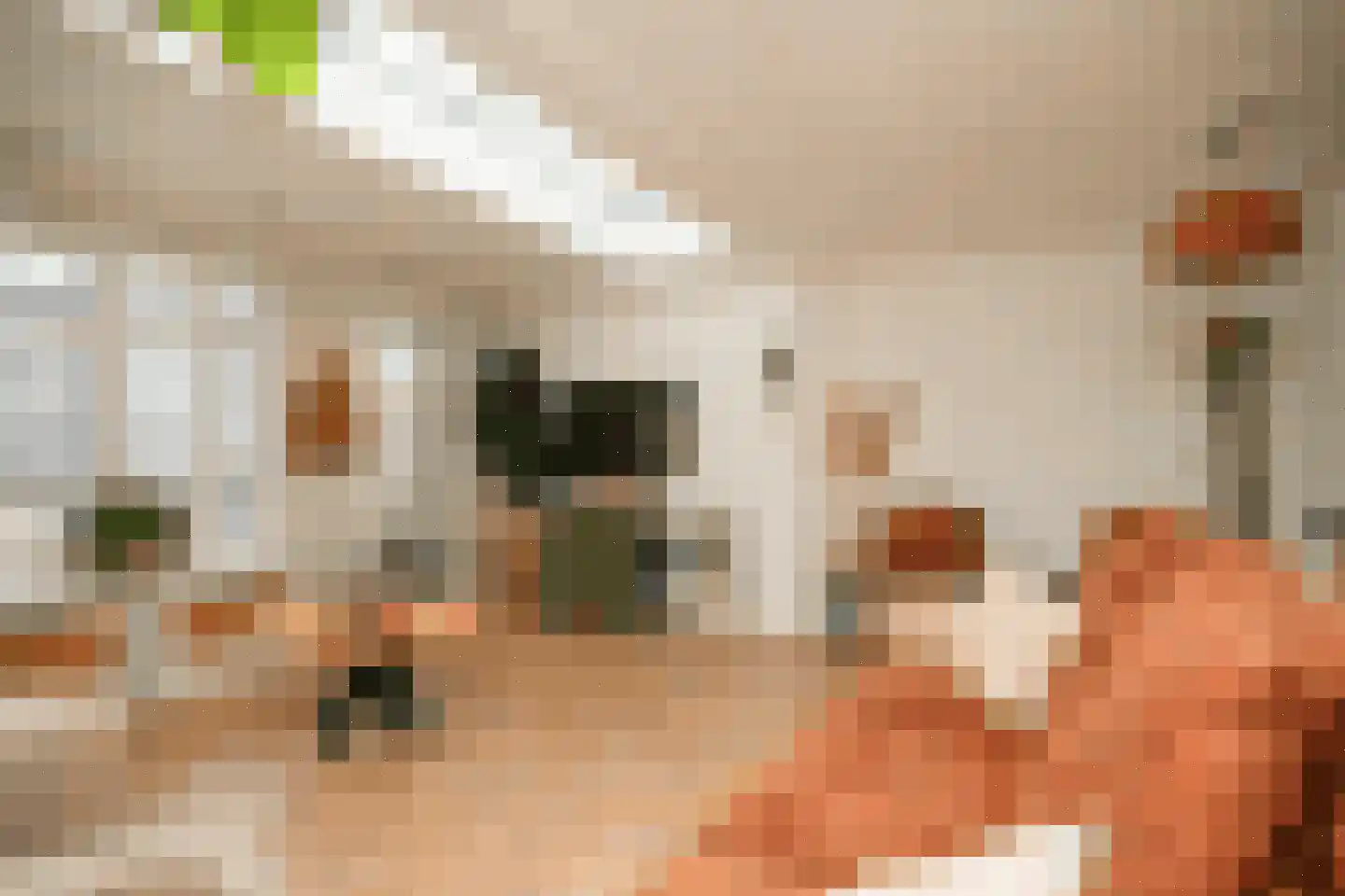 Copierlaan 124 Leerdam thumbnail 17