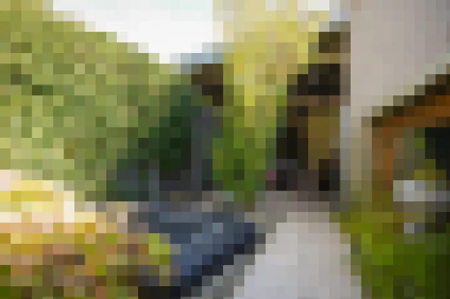 Copierlaan 124 Leerdam thumbnail 33
