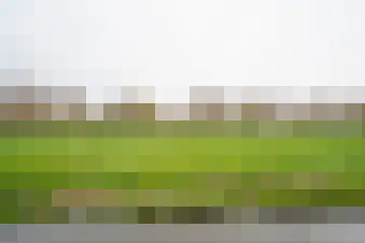 Copierlaan 38 Leerdam thumbnail 33