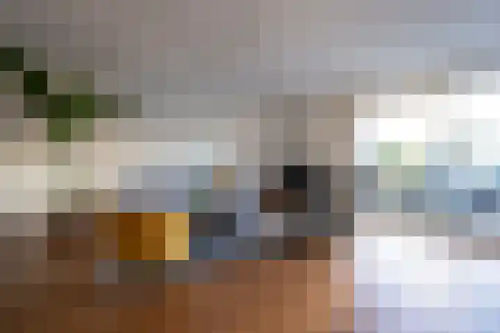 Copierlaan 46 Leerdam thumbnail 8