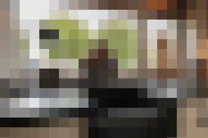 Copierlaan 87 Leerdam thumbnail 10