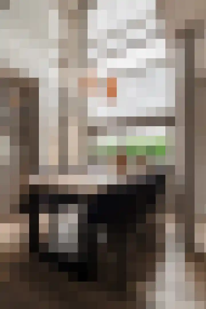 Copierlaan 87 Leerdam thumbnail 15