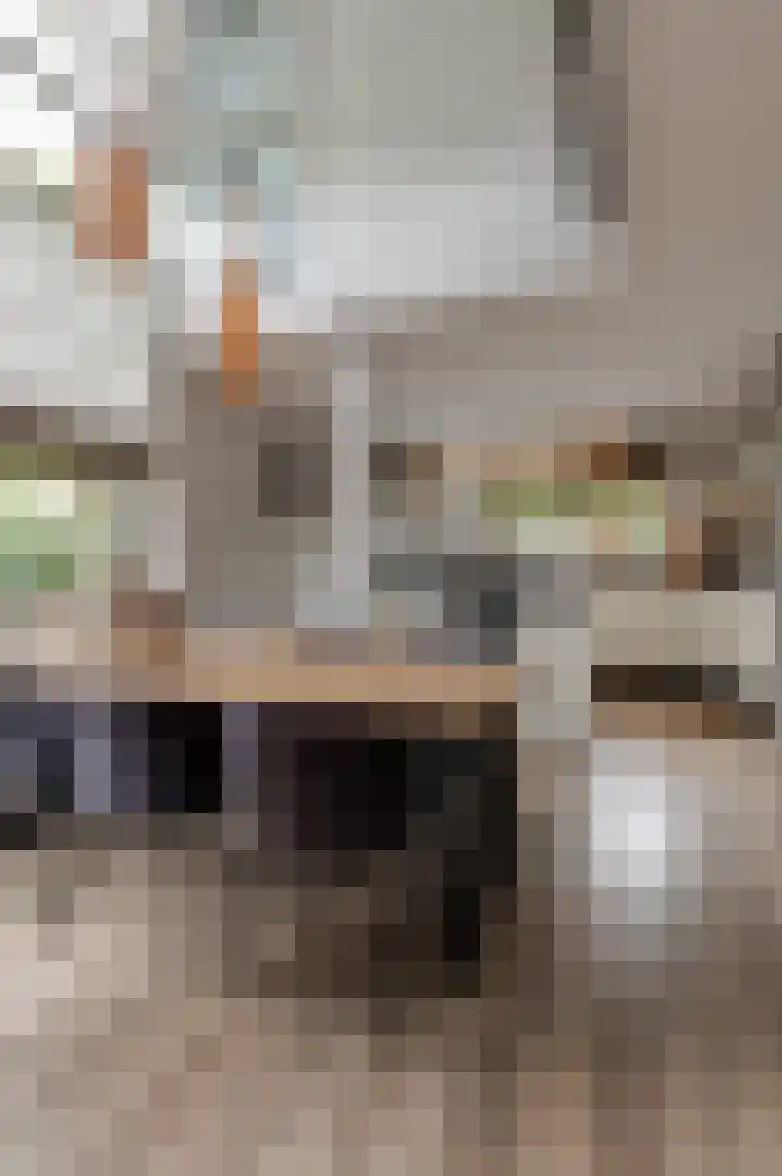 Copierlaan 87 Leerdam thumbnail 23