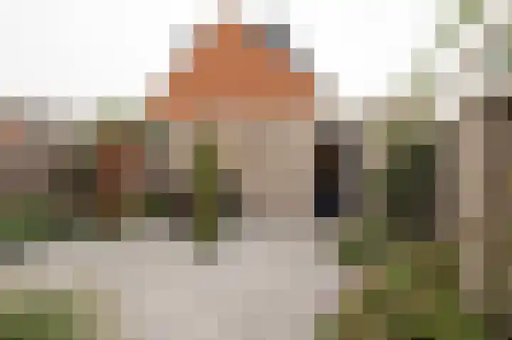Copierlaan 87 Leerdam thumbnail 46