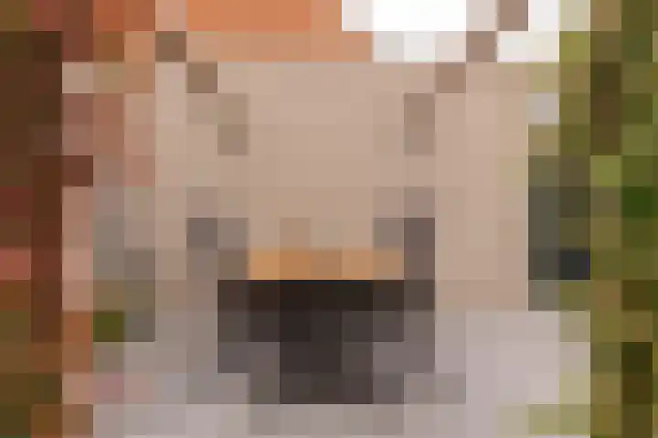 Copierlaan 87 Leerdam thumbnail 50