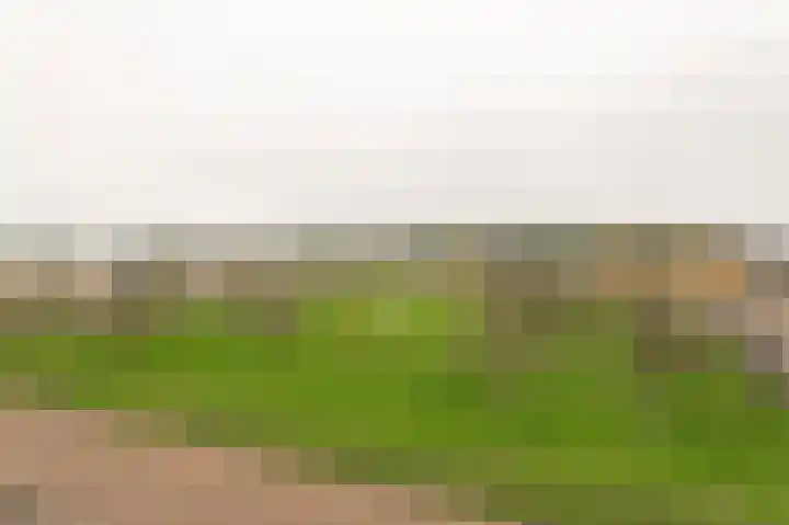 Copierlaan 87 Leerdam thumbnail 53