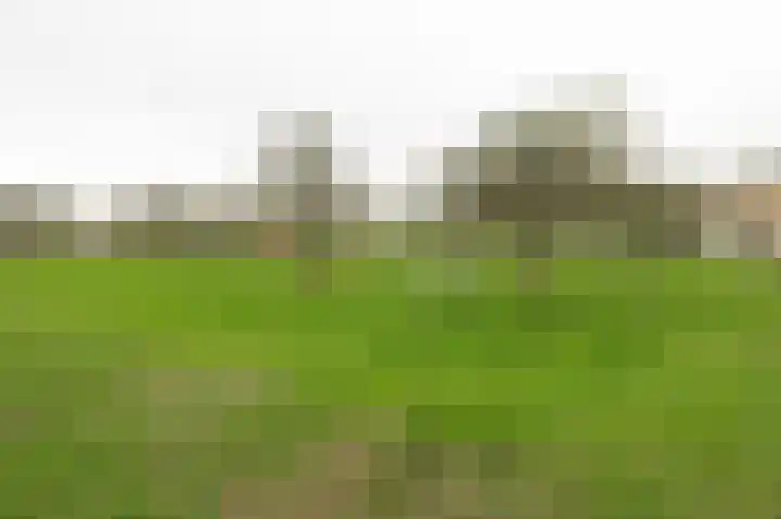 Copierlaan 87 Leerdam thumbnail 63