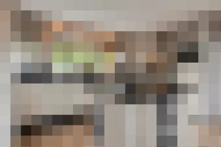 Copierlaan 87 Leerdam thumbnail 9