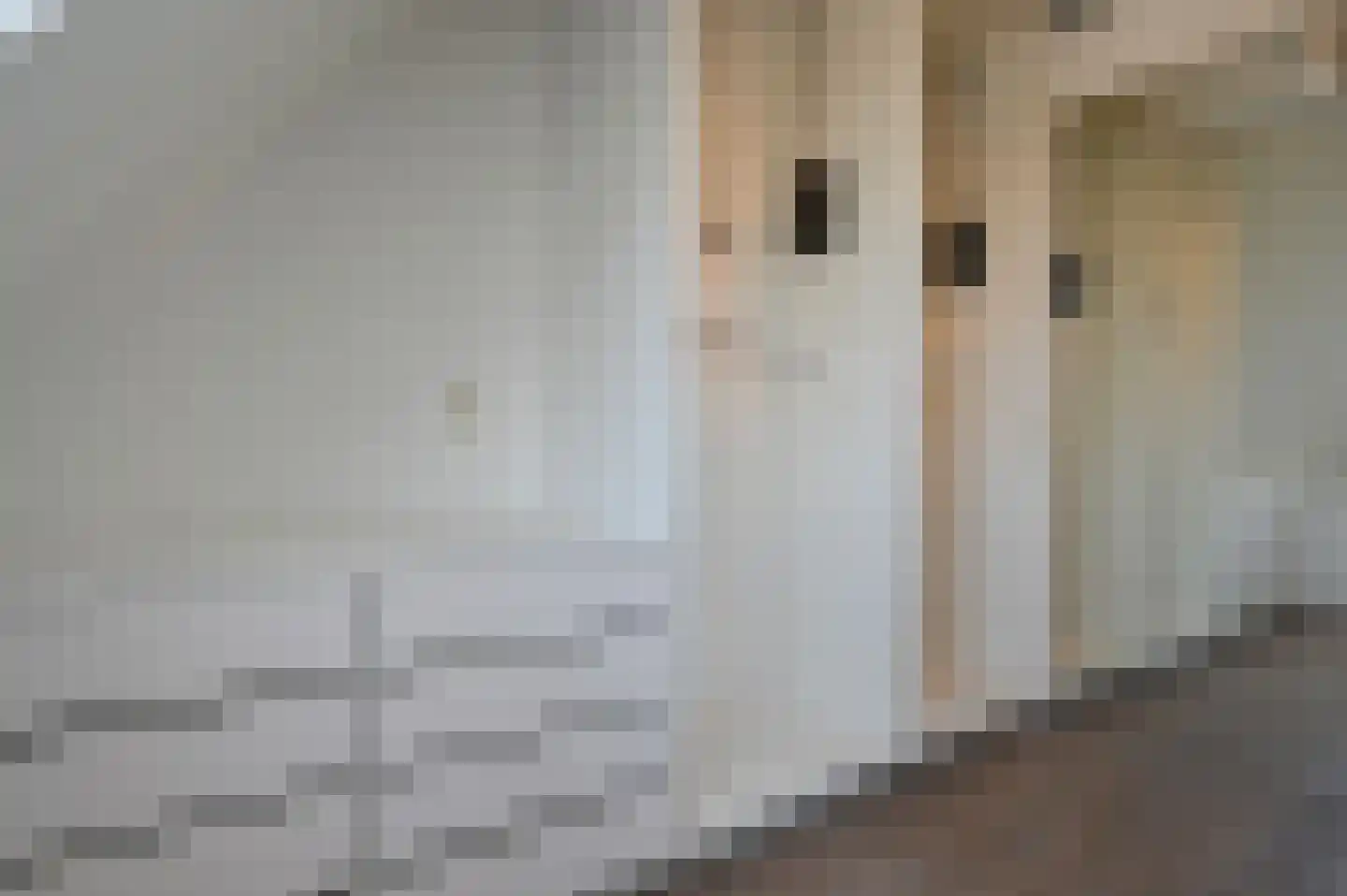 Copierstraat 23 Kudelstaart thumbnail 15