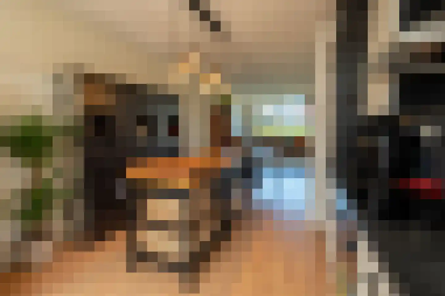 Copierstraat 4 Kudelstaart thumbnail 9