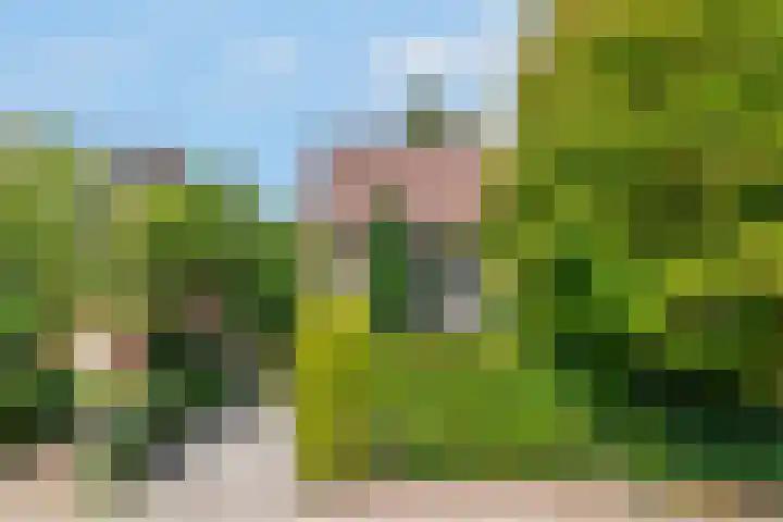 Copijnlaan 10 Groenekan foto 2