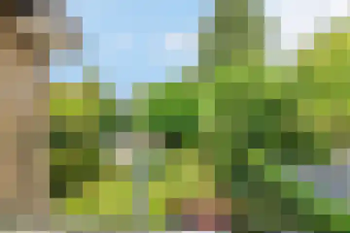 Copijnlaan 10 Groenekan thumbnail 21