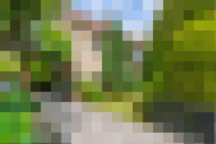 Copijnlaan 10 Groenekan foto 3