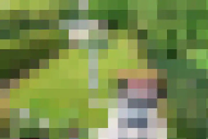 Copijnlaan 10 Groenekan thumbnail 35