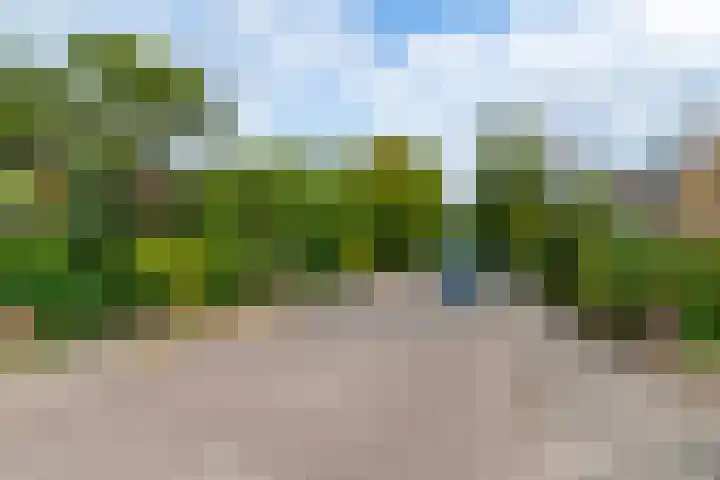 Copijnlaan 10 Groenekan thumbnail 42