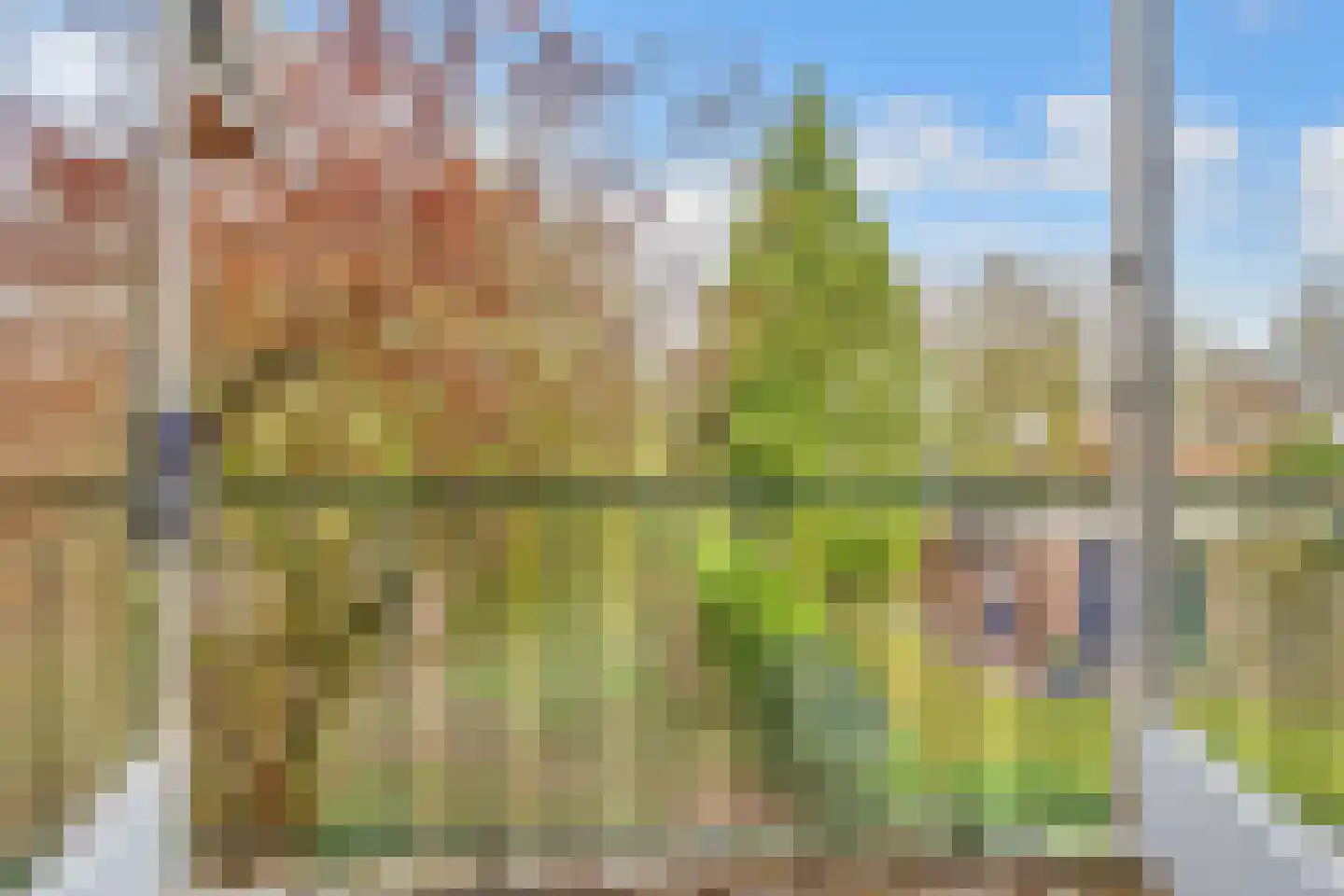 Copijnlaan 22 Groenekan thumbnail 18