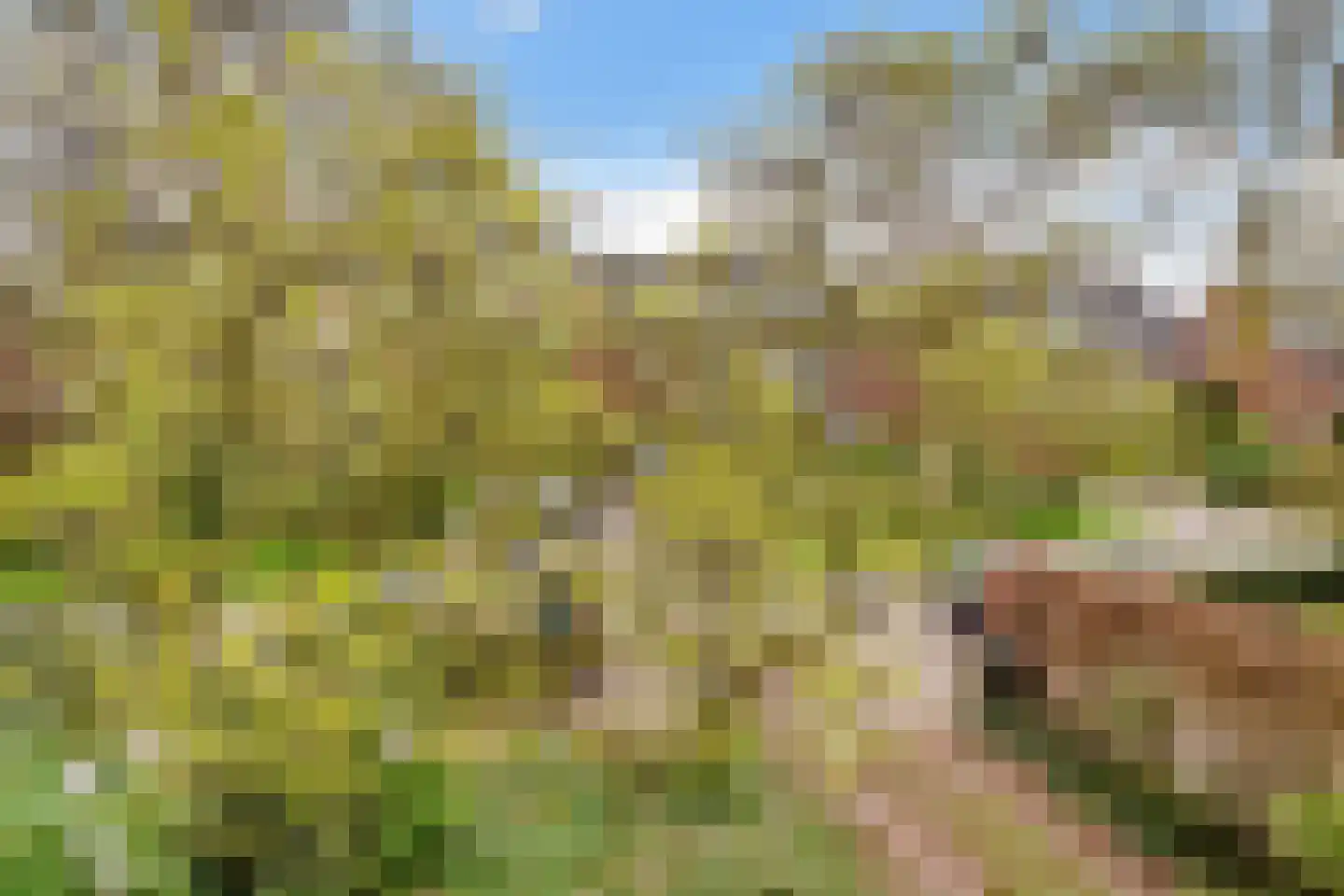 Copijnlaan 22 Groenekan thumbnail 23