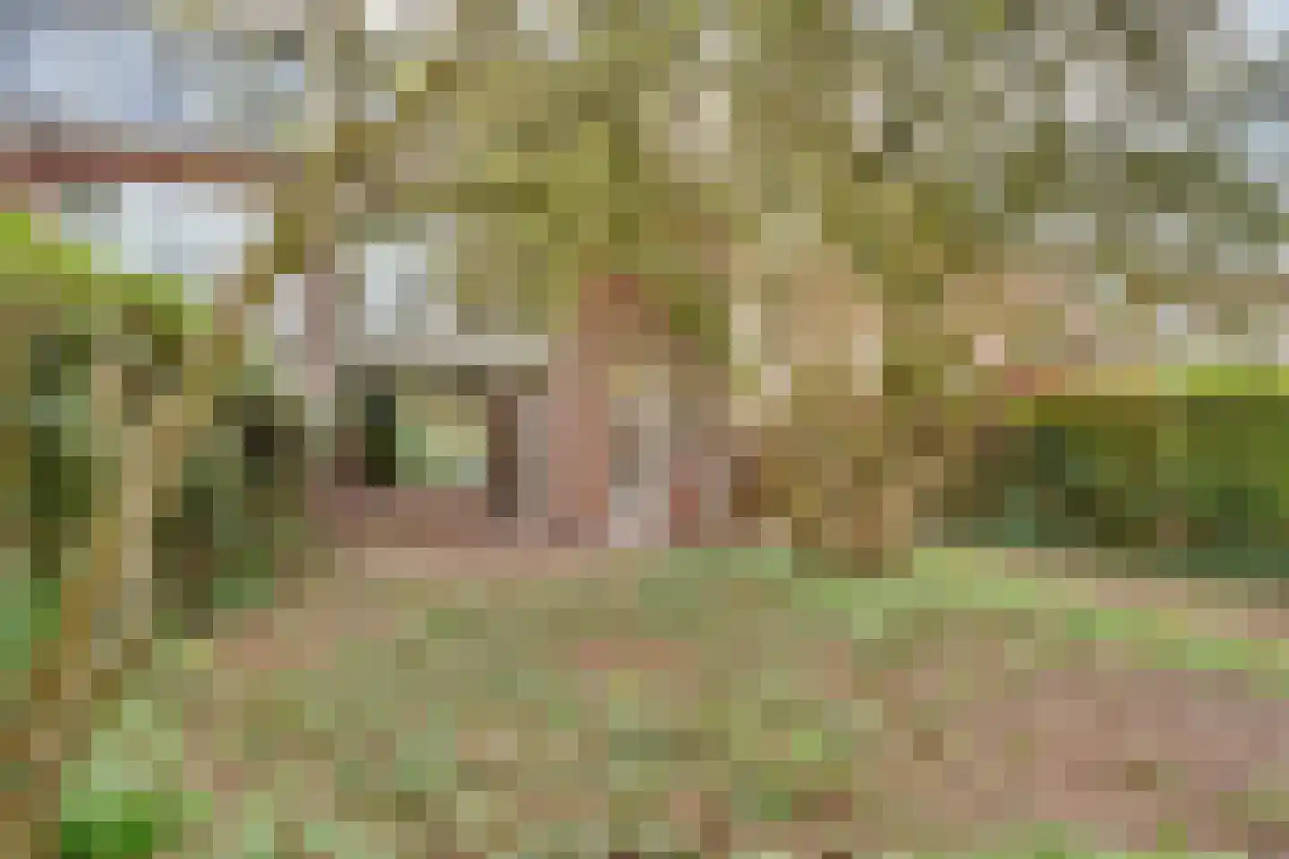 Copijnlaan 22 Groenekan thumbnail 32