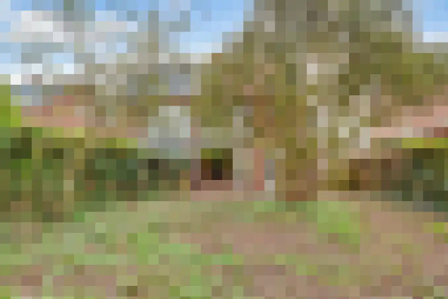 Copijnlaan 22 Groenekan thumbnail 33
