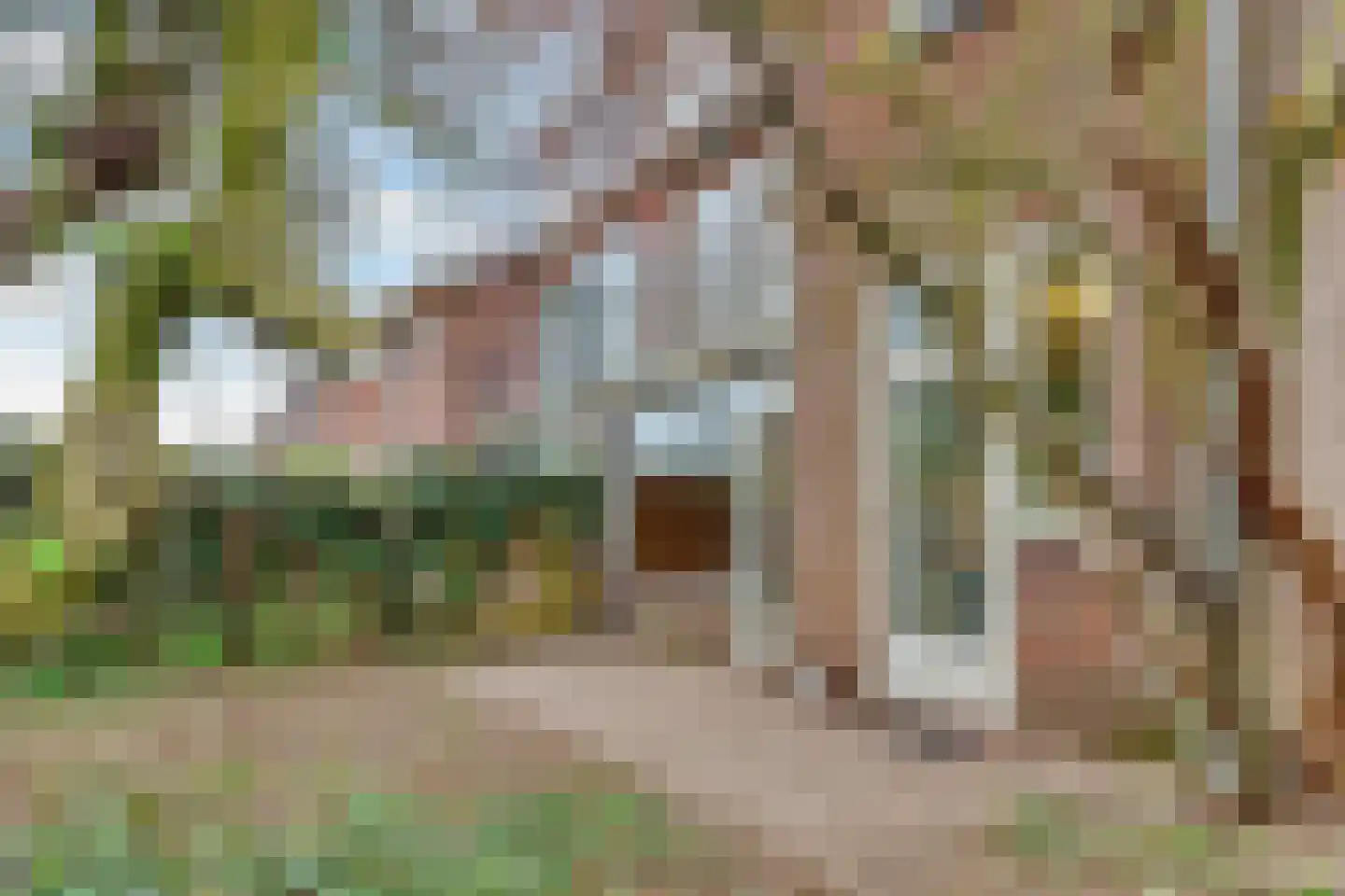 Copijnlaan 22 Groenekan thumbnail 34