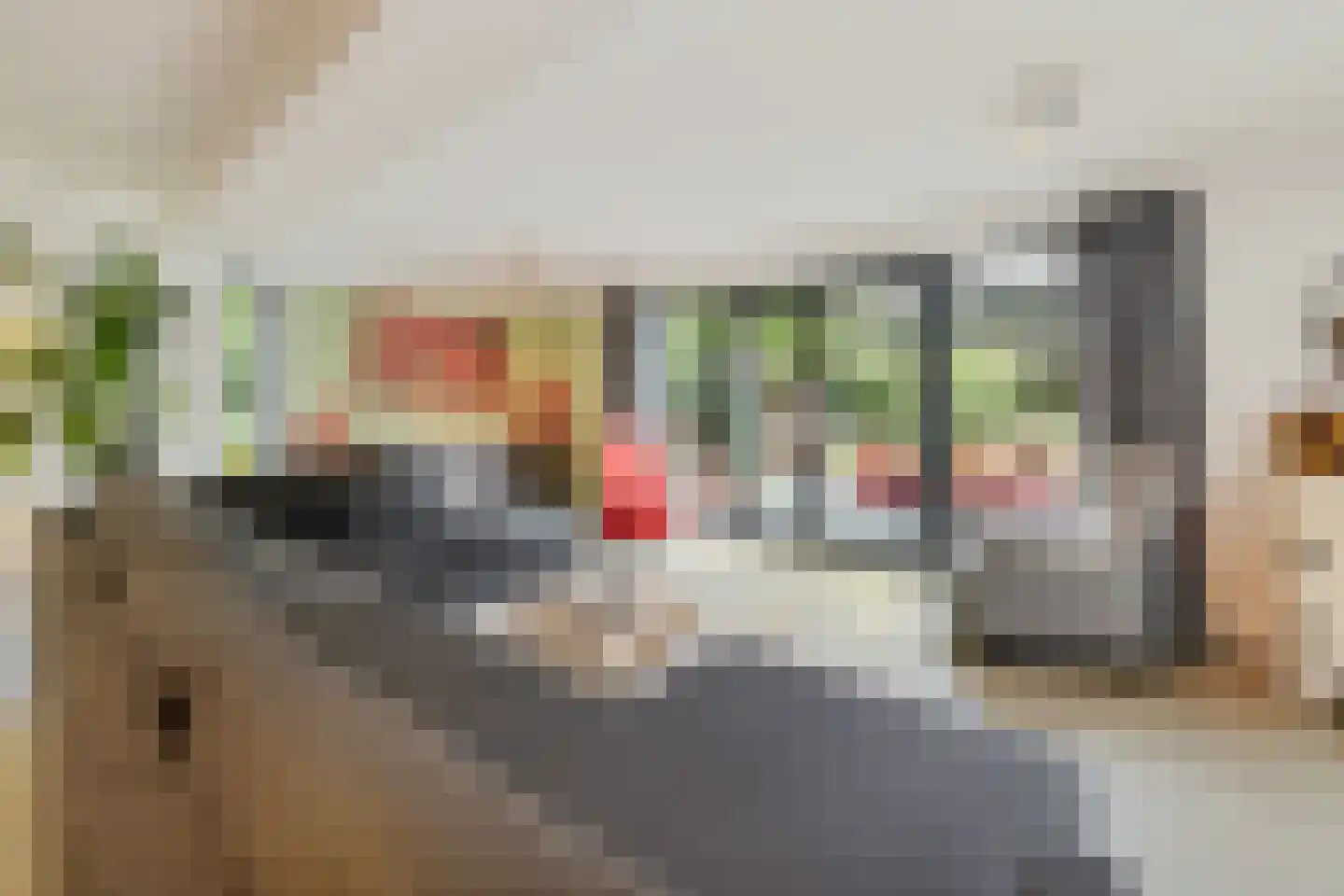 Copijnlaan 49 Groenekan thumbnail 17