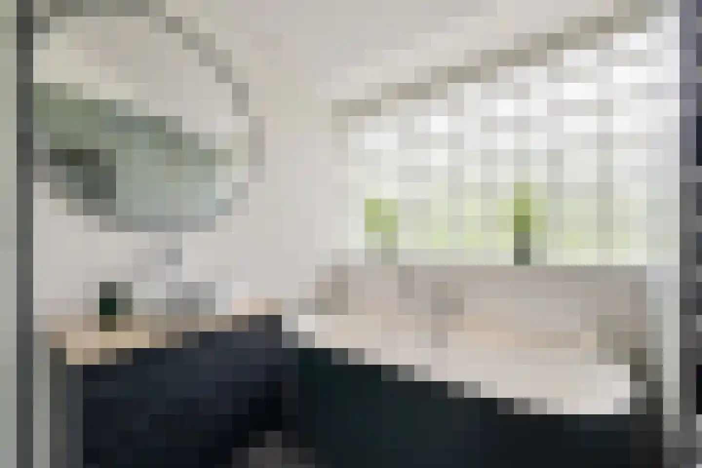 Copijnlaan 49 Groenekan thumbnail 43