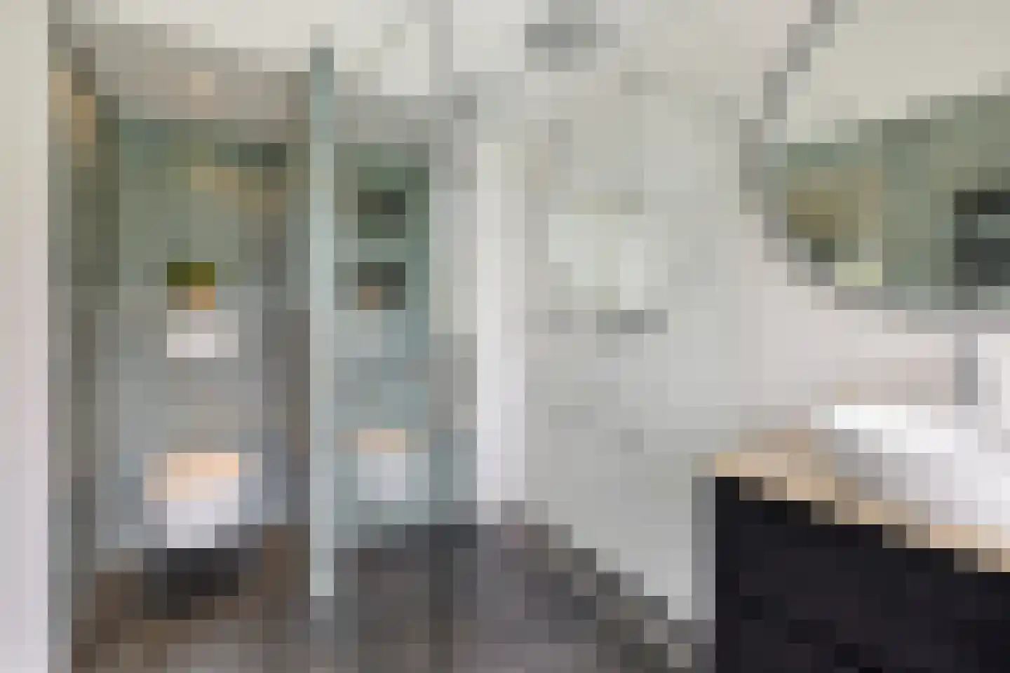 Copijnlaan 49 Groenekan thumbnail 44