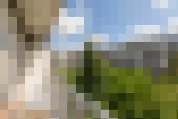 Coppelstockstraat 41 1 Amsterdam thumbnail 19