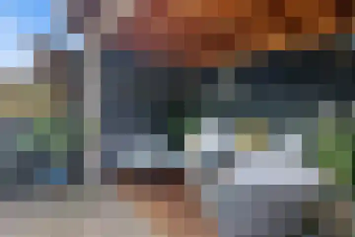 Coppenolstraat 5 Alkmaar thumbnail 32