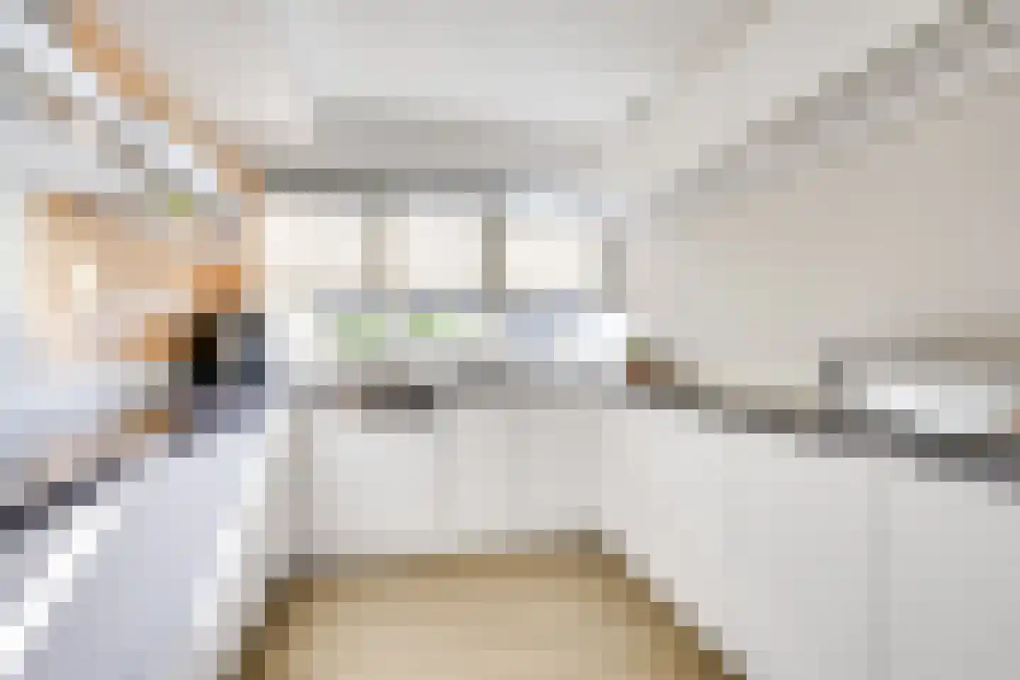 Coppenscamp 11 Houten thumbnail 11