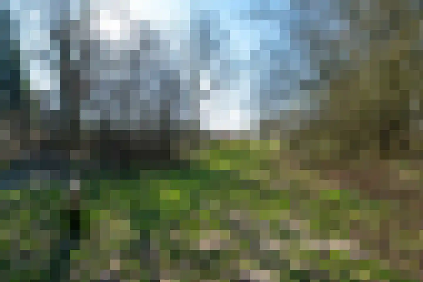 Coppenscamp 11 Houten thumbnail 45