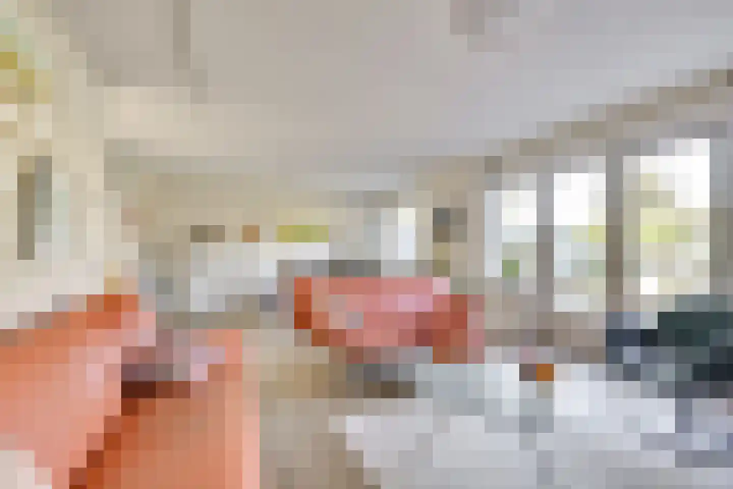 Coppenscamp 11 Houten thumbnail 8