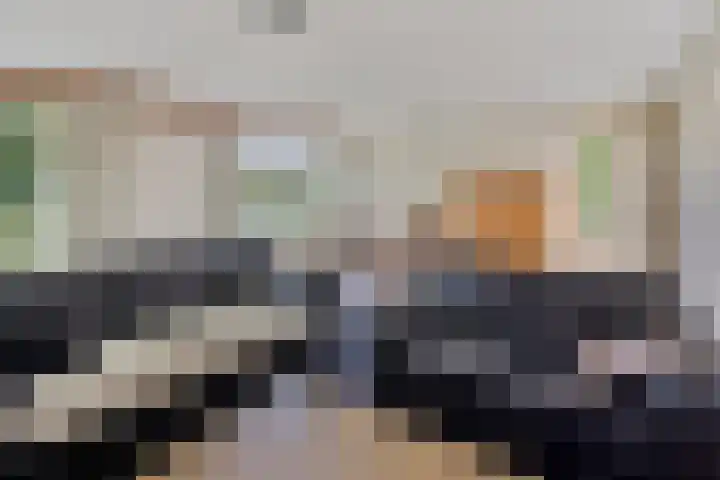 Coppensdijk 17 Vinkel thumbnail 10