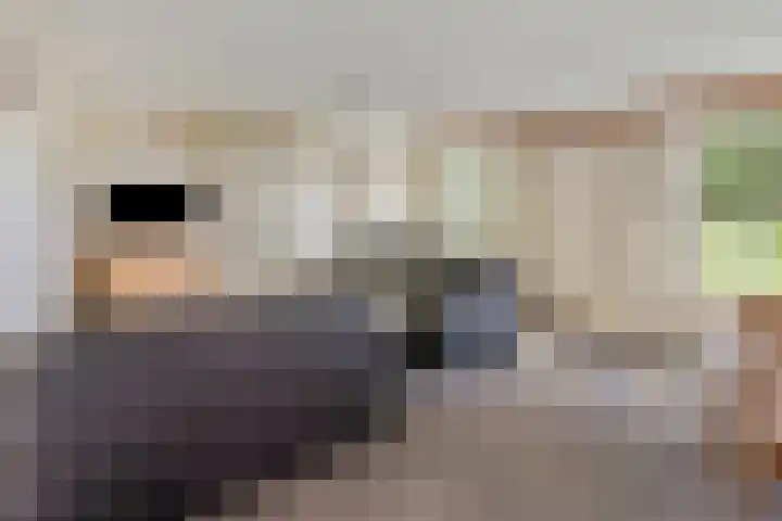 Coppensdijk 17 Vinkel thumbnail 11