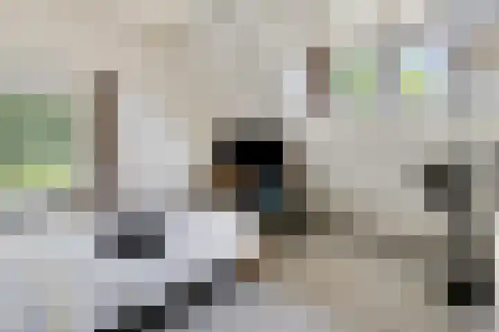 Coppensdijk 17 Vinkel thumbnail 17