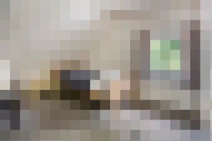 Coppensdijk 17 Vinkel thumbnail 20