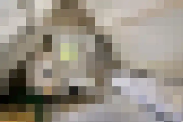 Coppensdijk 17 Vinkel thumbnail 30