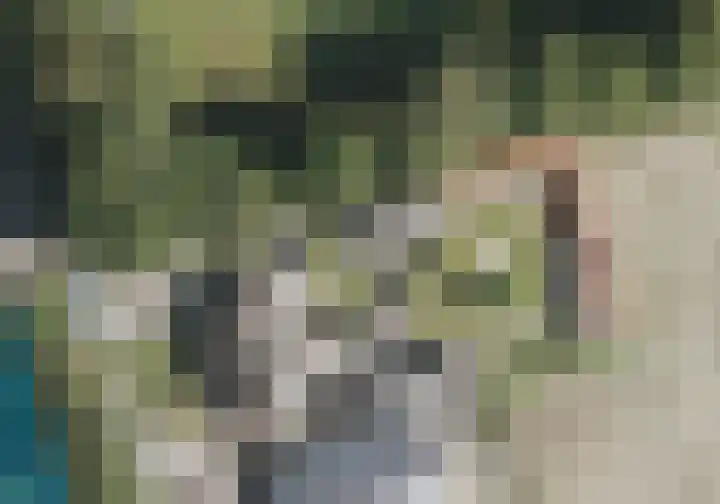 Coppensdijk 17 Vinkel thumbnail 34