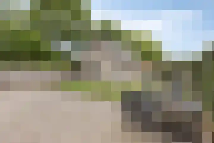Coppensdijk 17 Vinkel thumbnail 7
