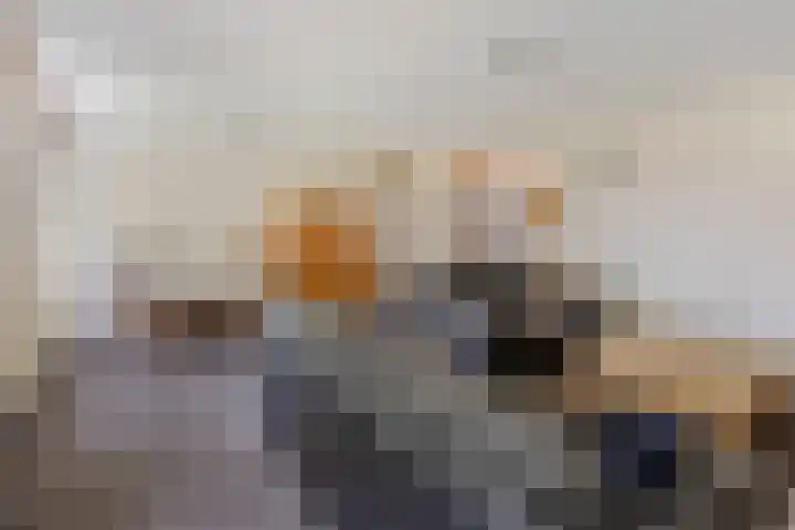 Coppensdijk 17 Vinkel thumbnail 9