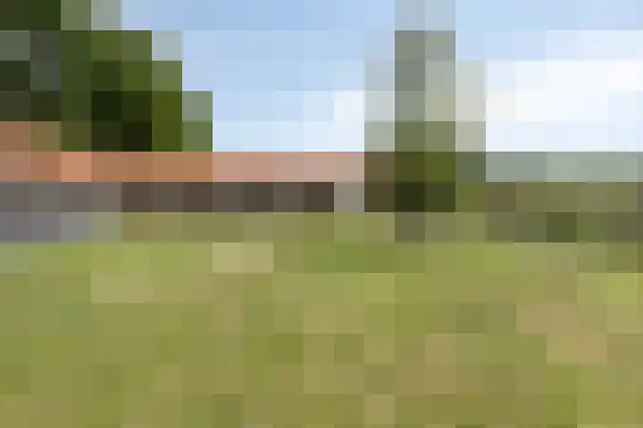 Coppensdijk 19 Vinkel thumbnail 10