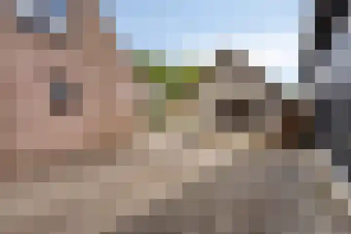 Coppensdijk 19 Vinkel thumbnail 11