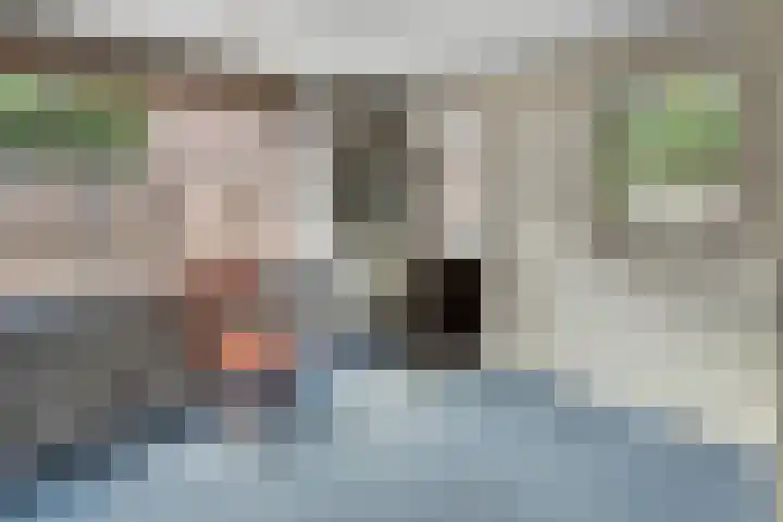 Coppensdijk 19 Vinkel thumbnail 12