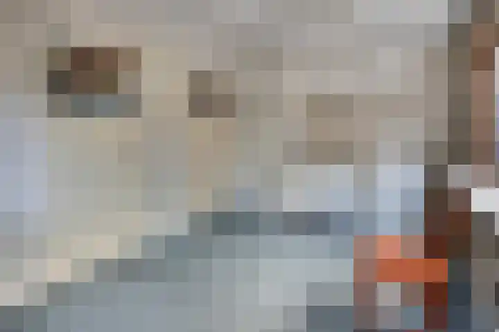 Coppensdijk 19 Vinkel thumbnail 13