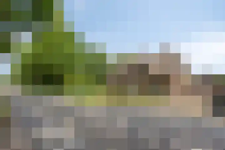 Coppensdijk 19 Vinkel thumbnail 28