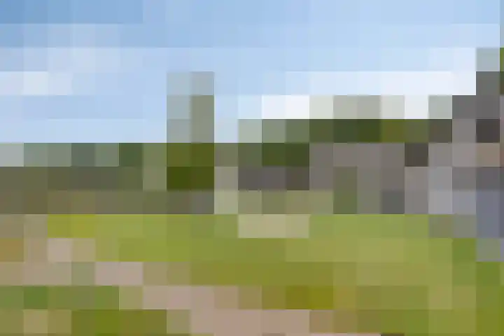 Coppensdijk 19 Vinkel thumbnail 4