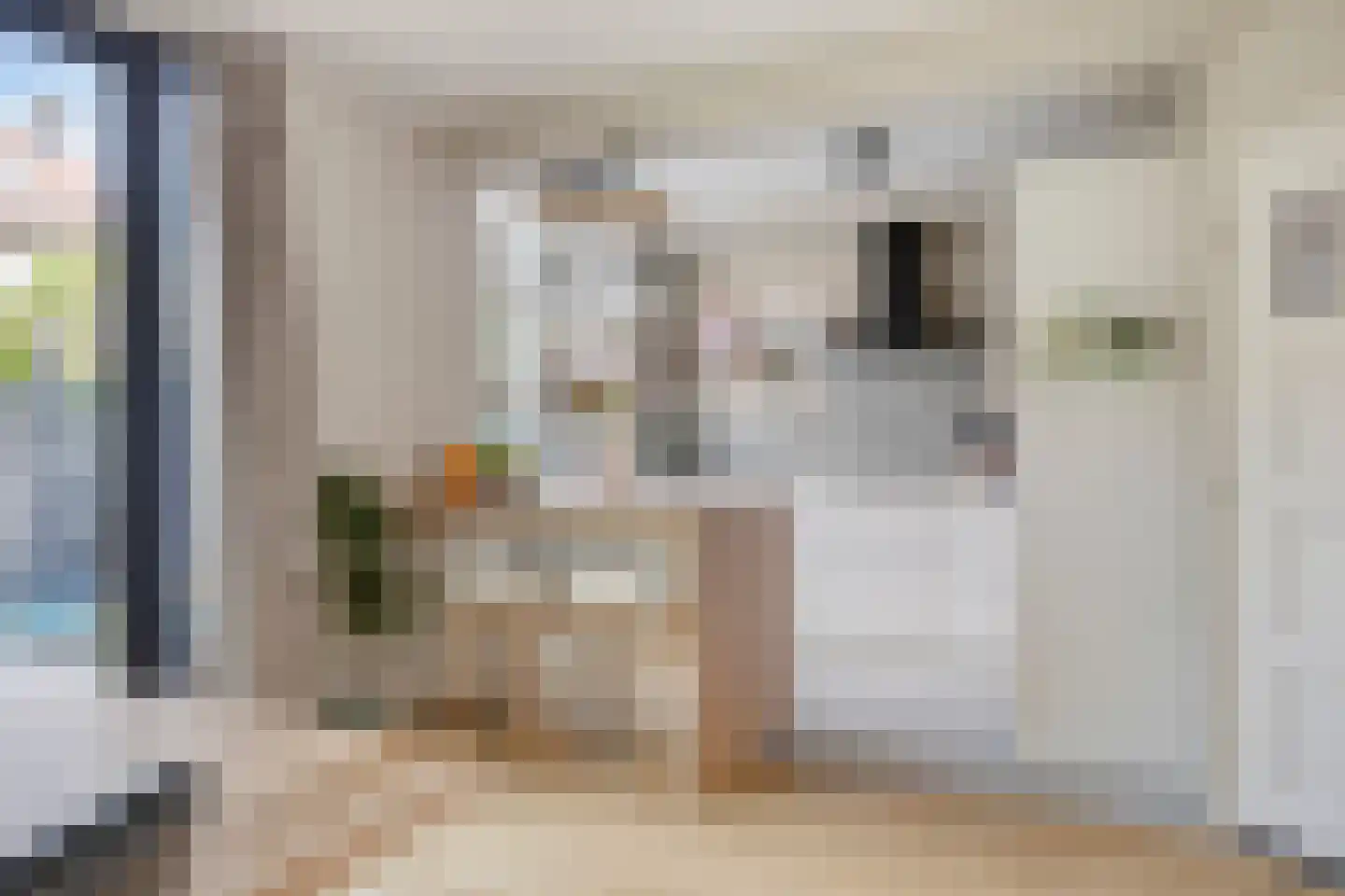 Coppensstraat 3 's-Hertogenbosch thumbnail 10